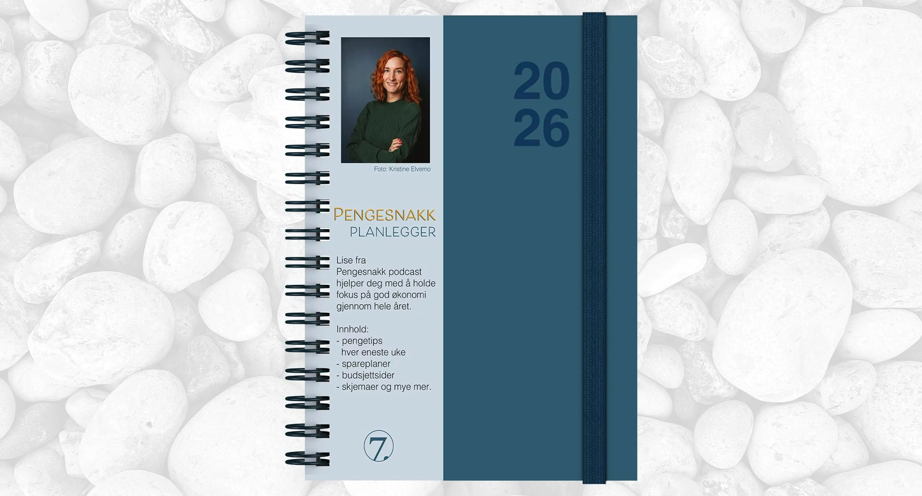 Pengesnakk planlegger 2026