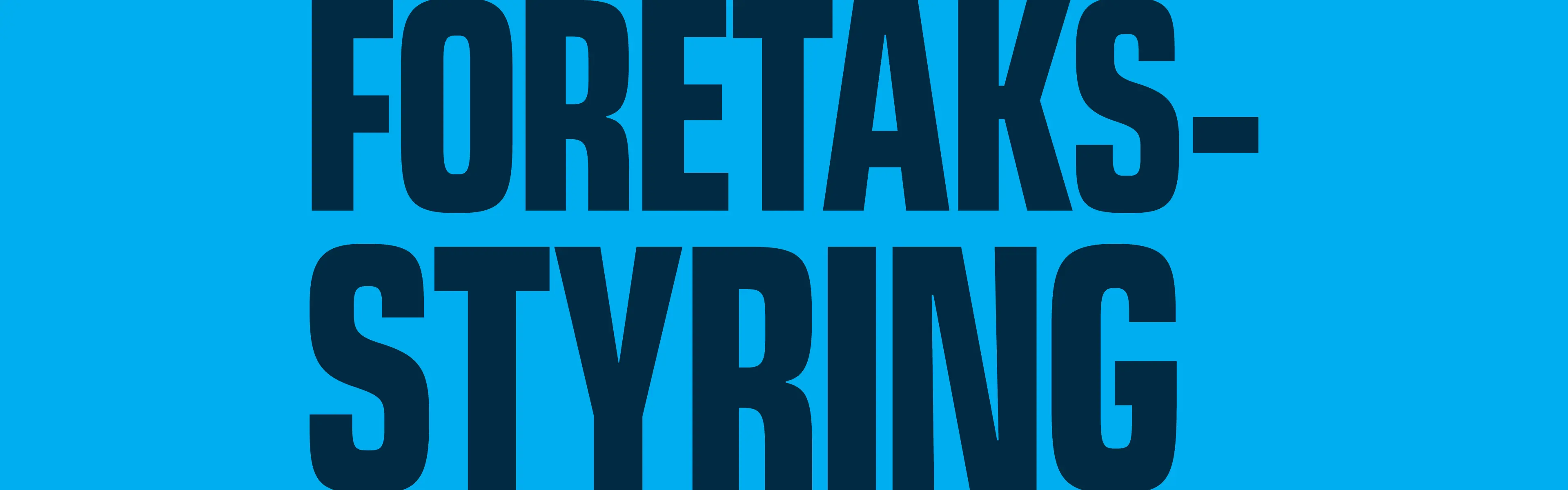 Tekst foretaksstyring
