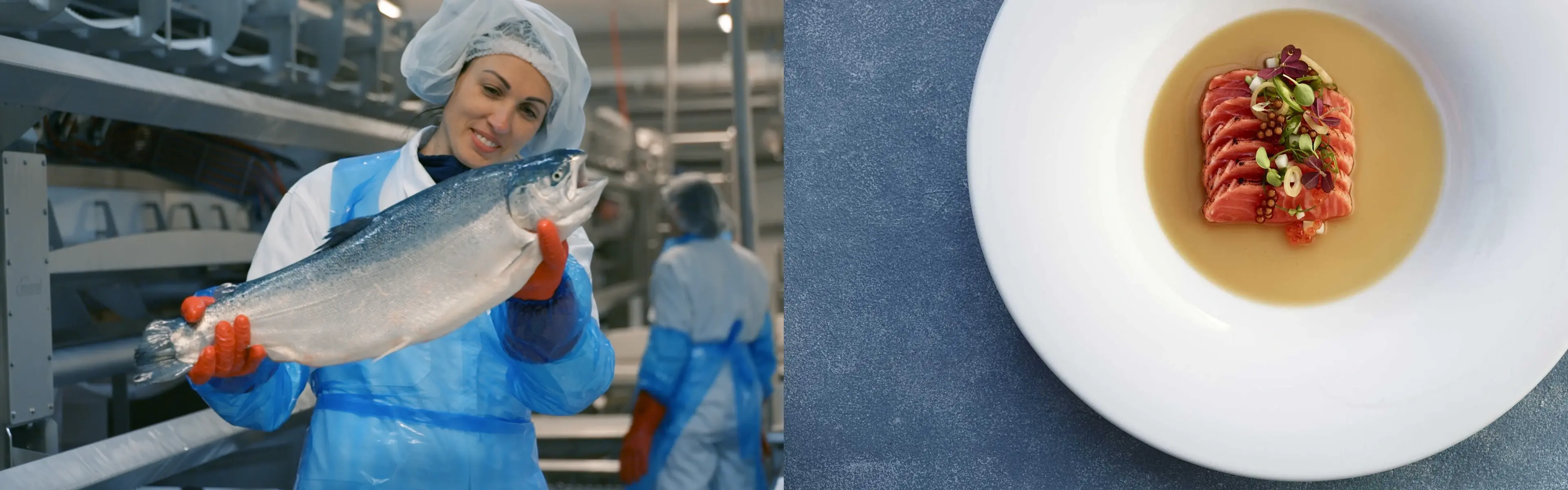 Laks fra Martin E Birknes