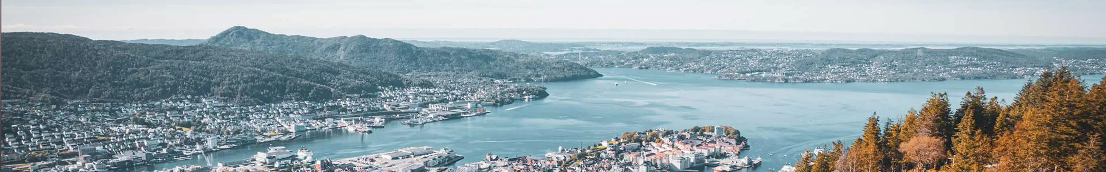 Bergen by fra Fløyen