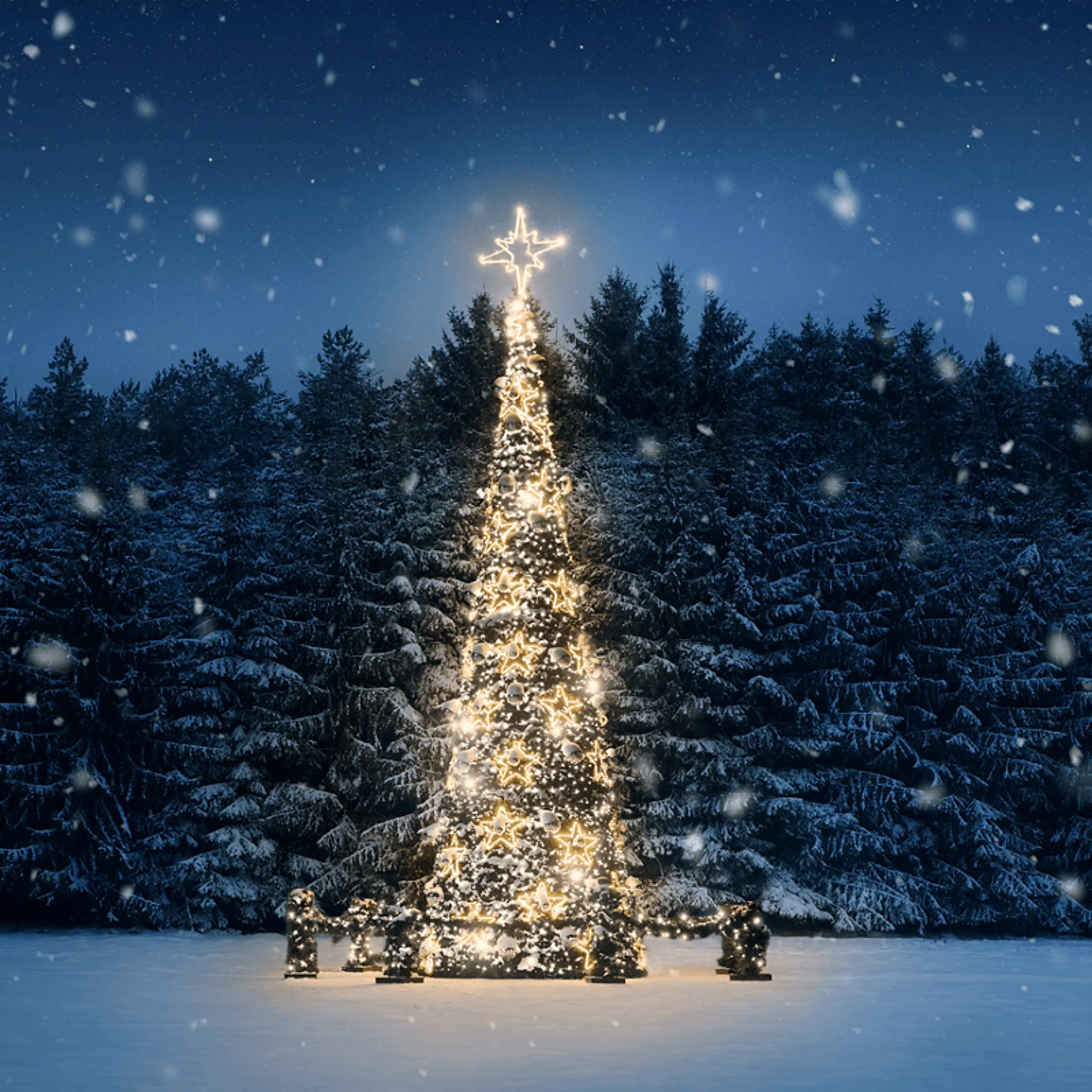 Snøen daler over juletre med lys i skogkanten