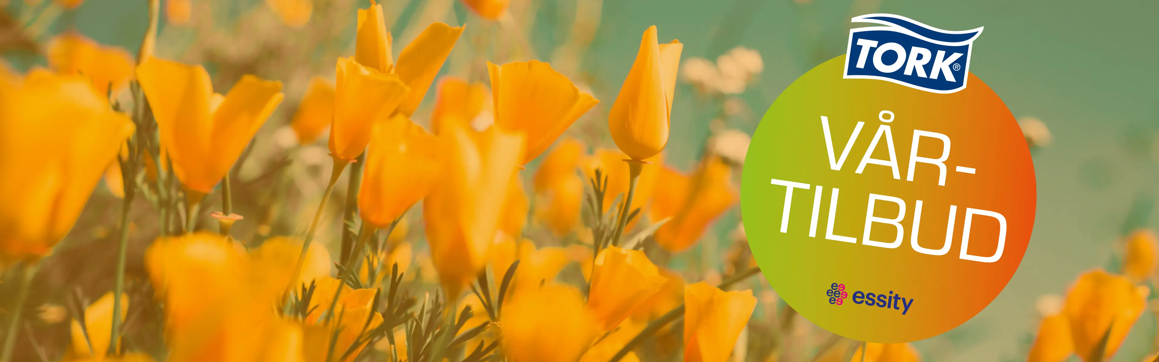 Vårkampanje på TORK