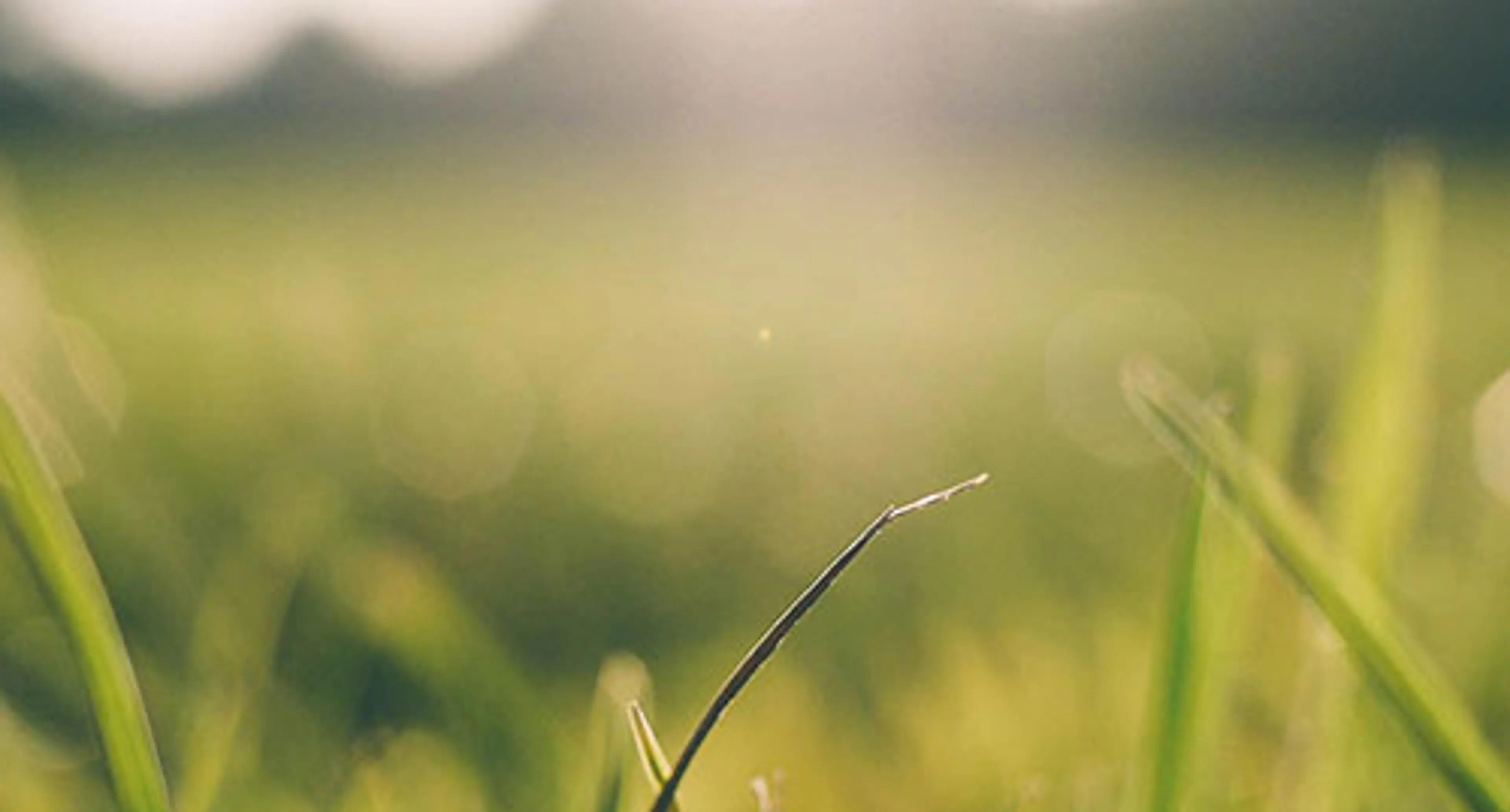 Bærekraft og miljø hos Johs Olsen