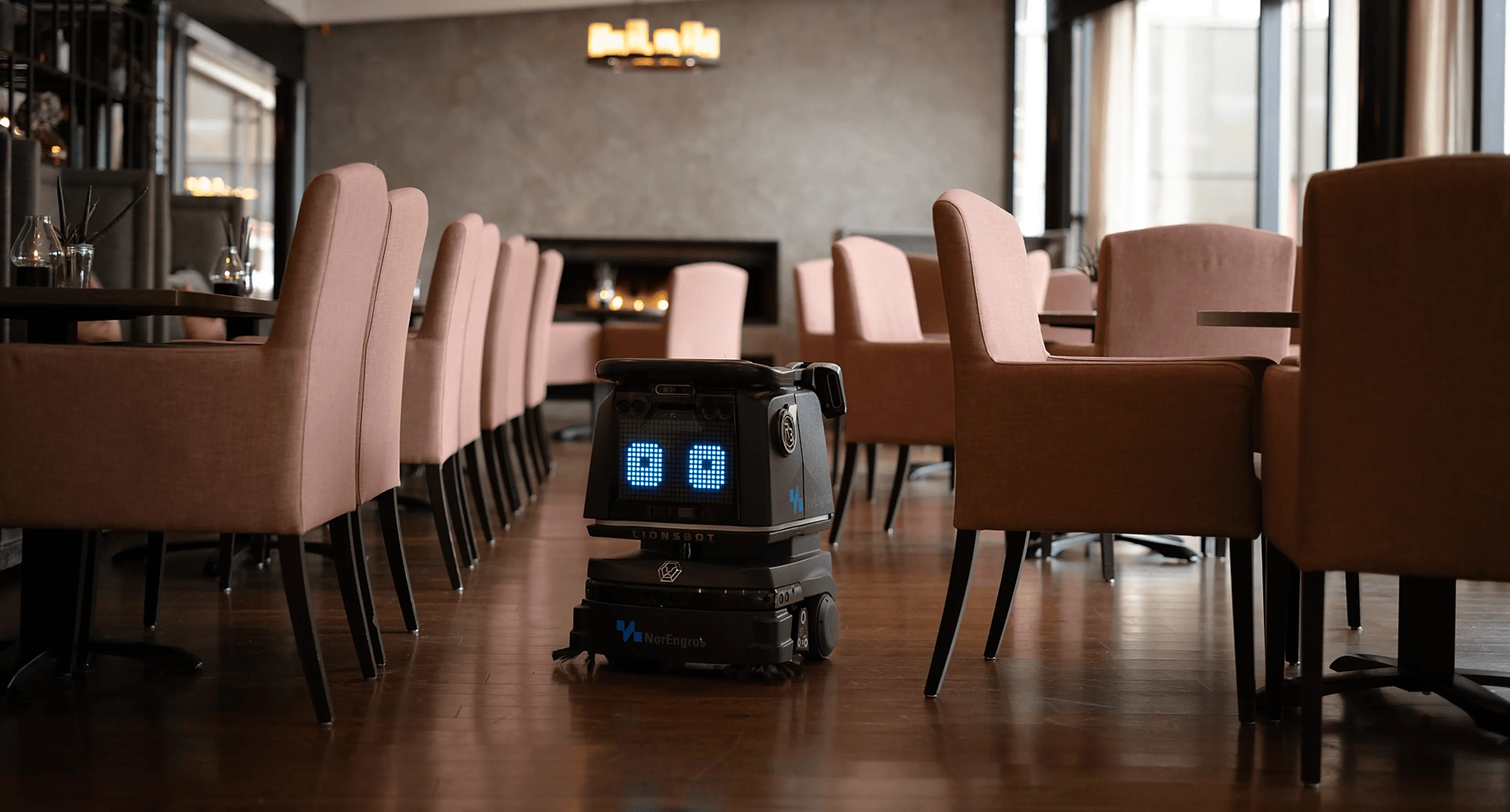 Lionsbot