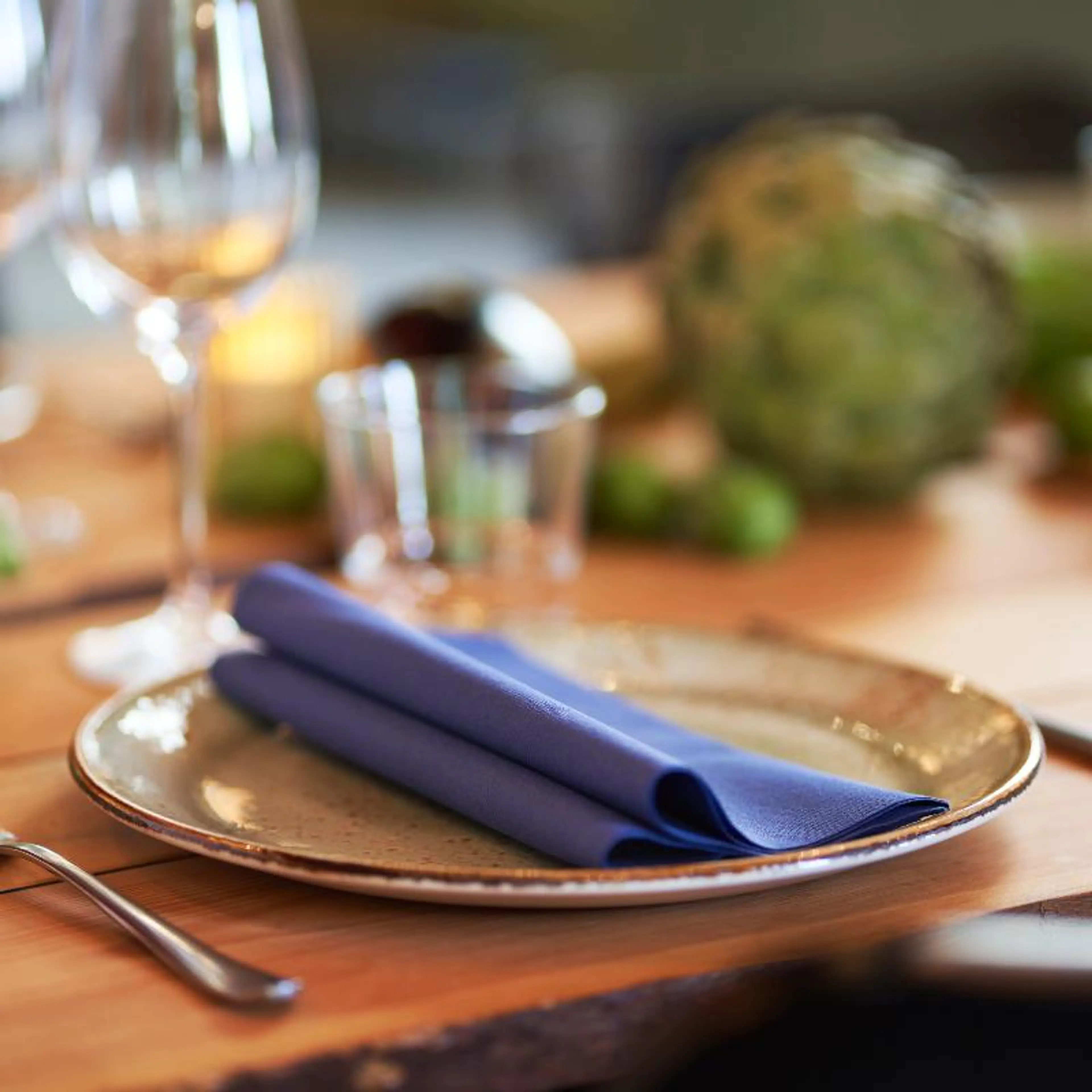 Bio dunisoft serviett på tallerken