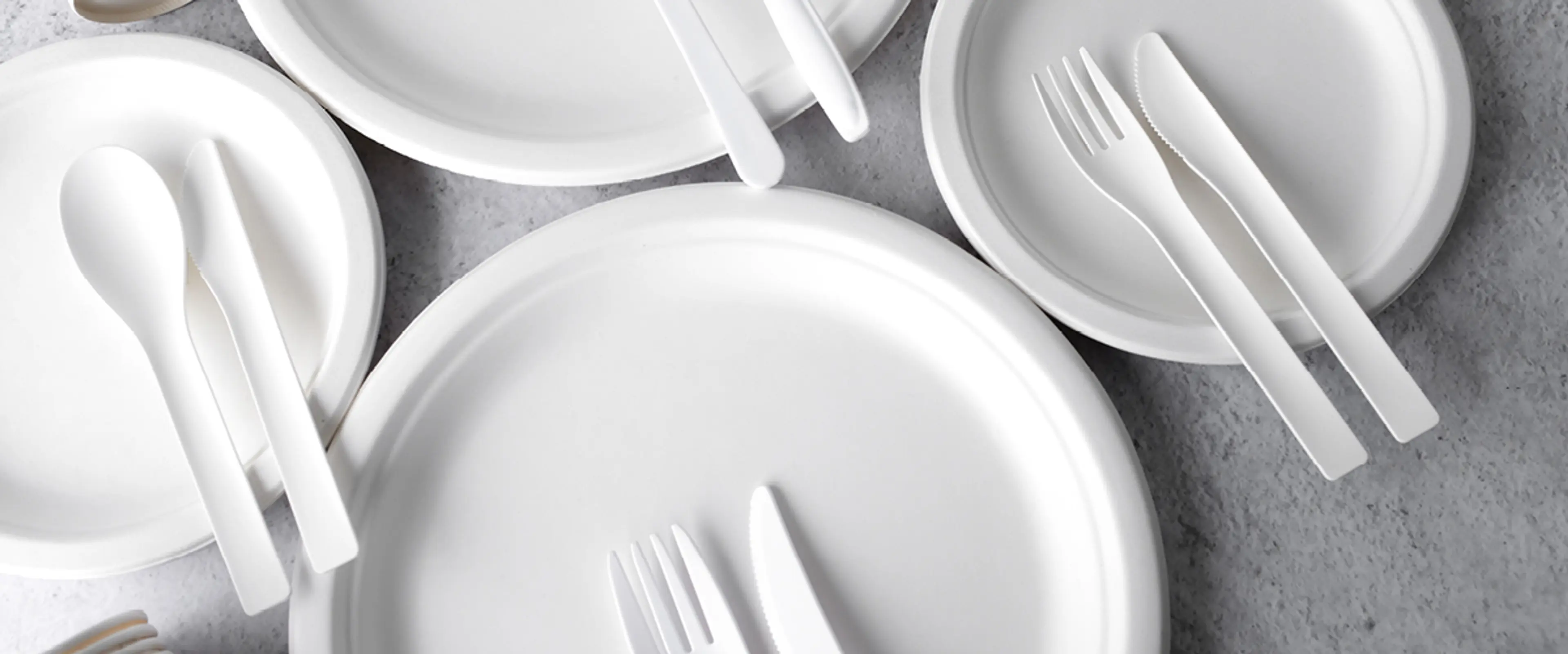 Bord dekket med alternativer til engangstallerkner i plast