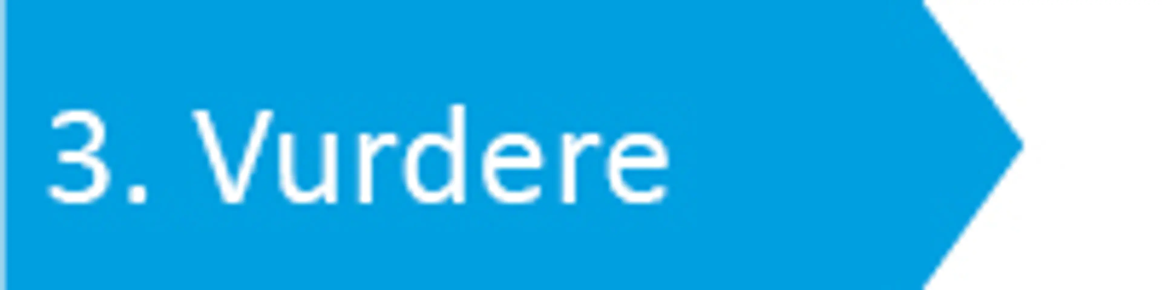 Tekst: fase 3. Vurdere