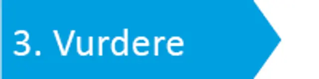 Tekst: fase 3. Vurdere