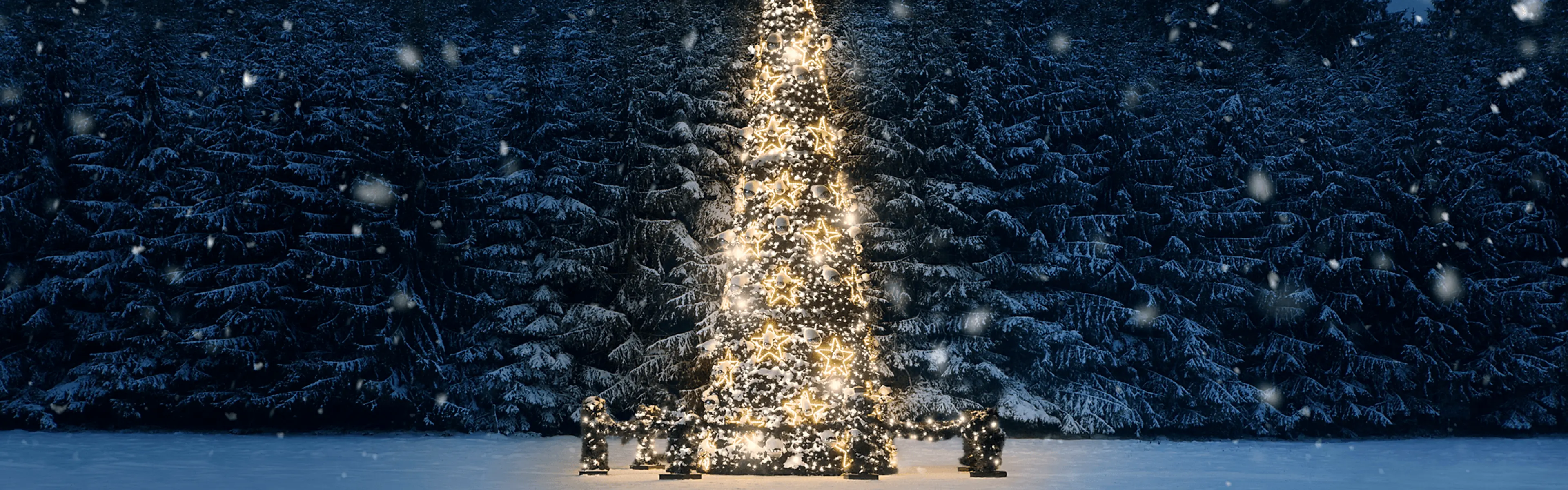 Snøen daler over juletre med lys i skogkanten