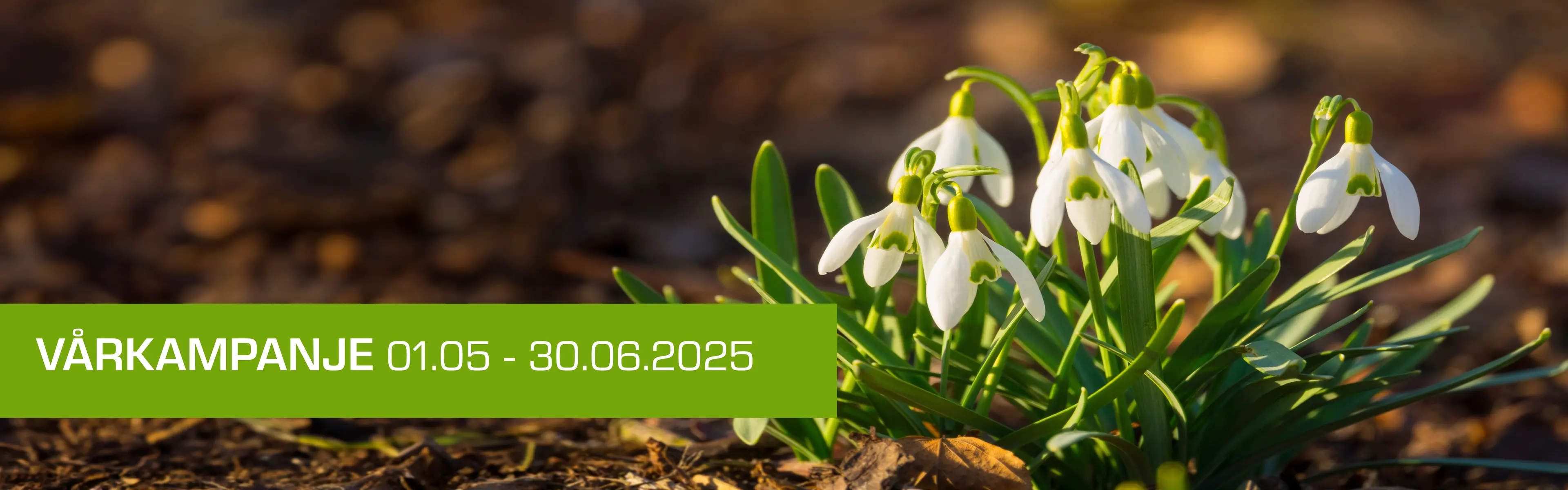 ndm vårkampanje 2025