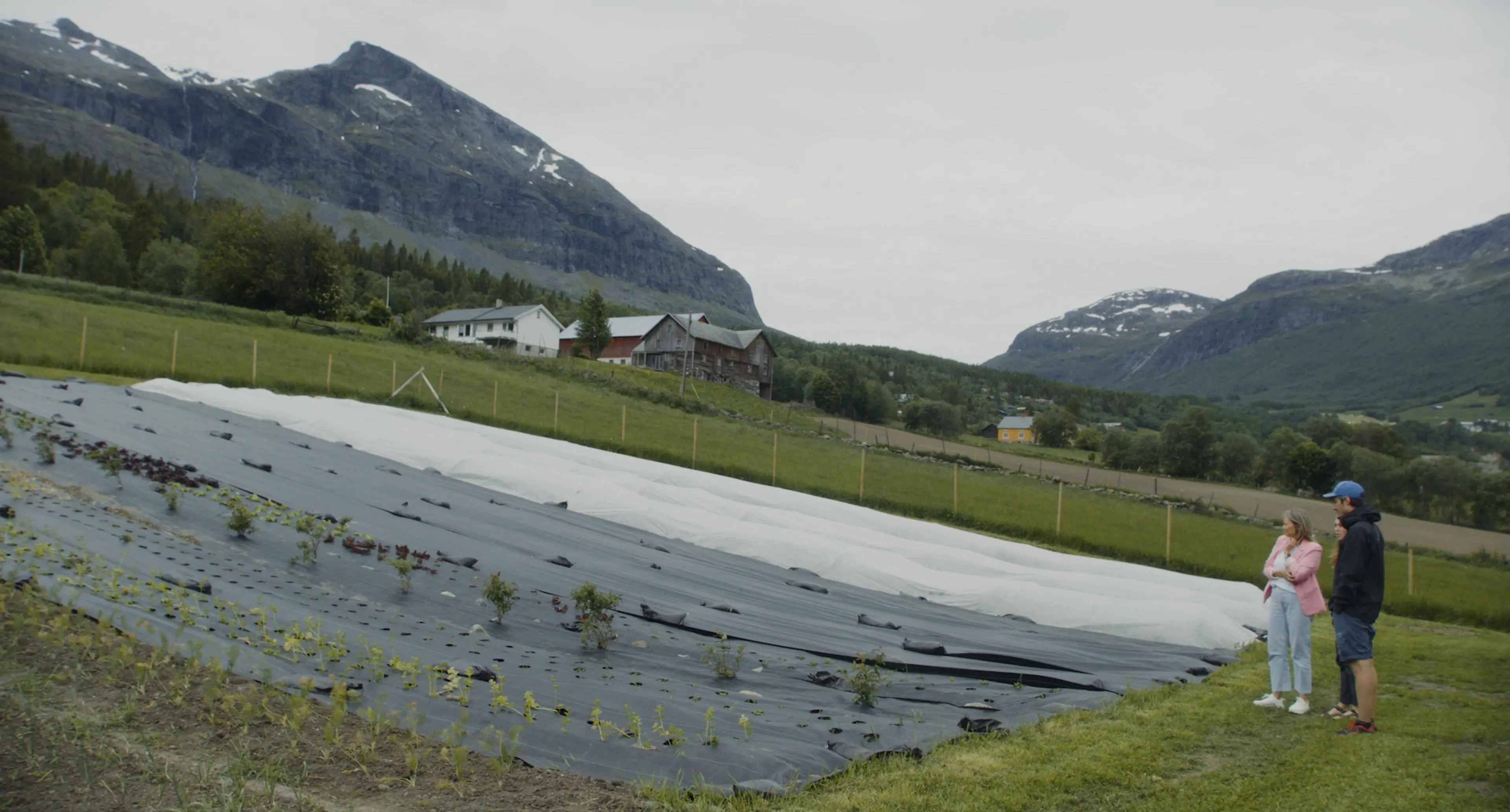 Jordet med norsk natur i bakgrunnen