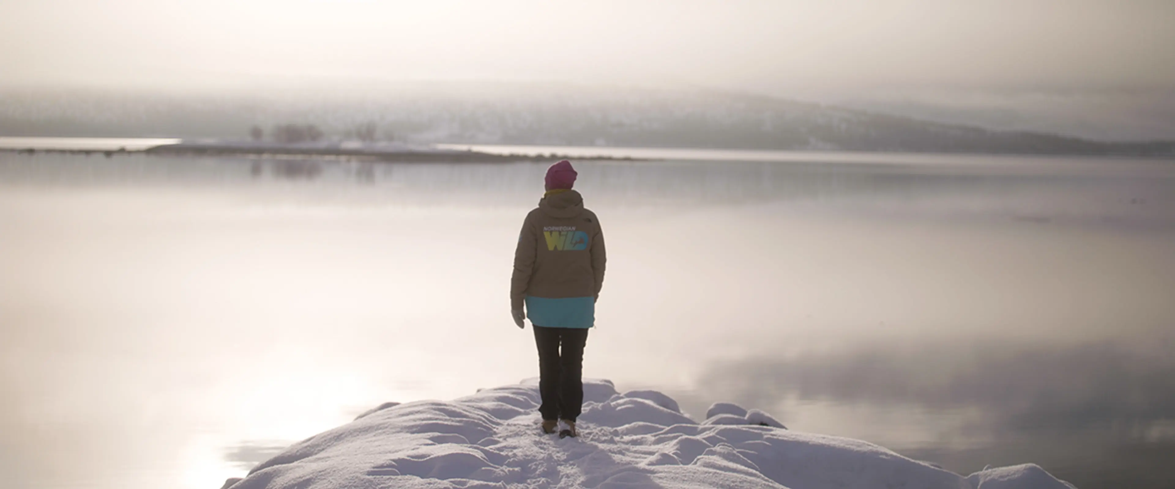 Gründer av Norwegian Wild, Hege Enge Dekkerhus, ser ut i havgapet på Senja