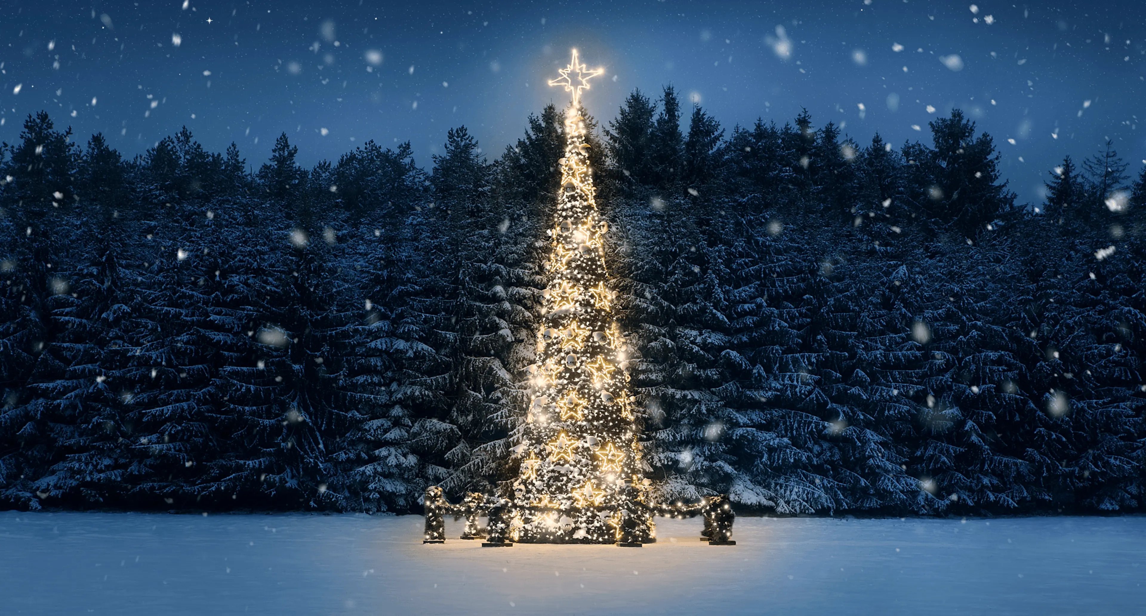 Snøen daler over juletre med lys i skogkanten