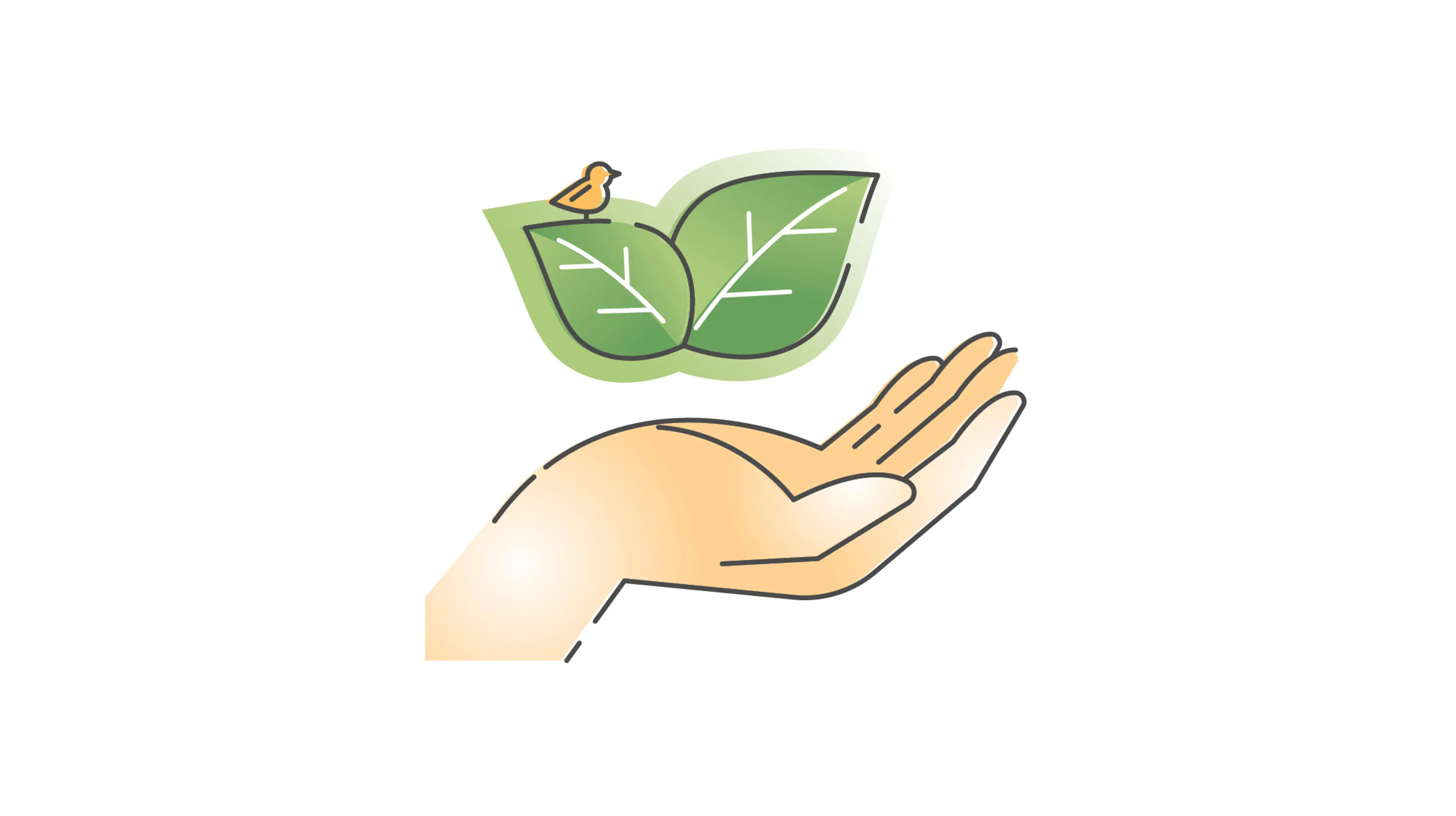 Miljø og bærekraft illustrert med hender og grønne blader