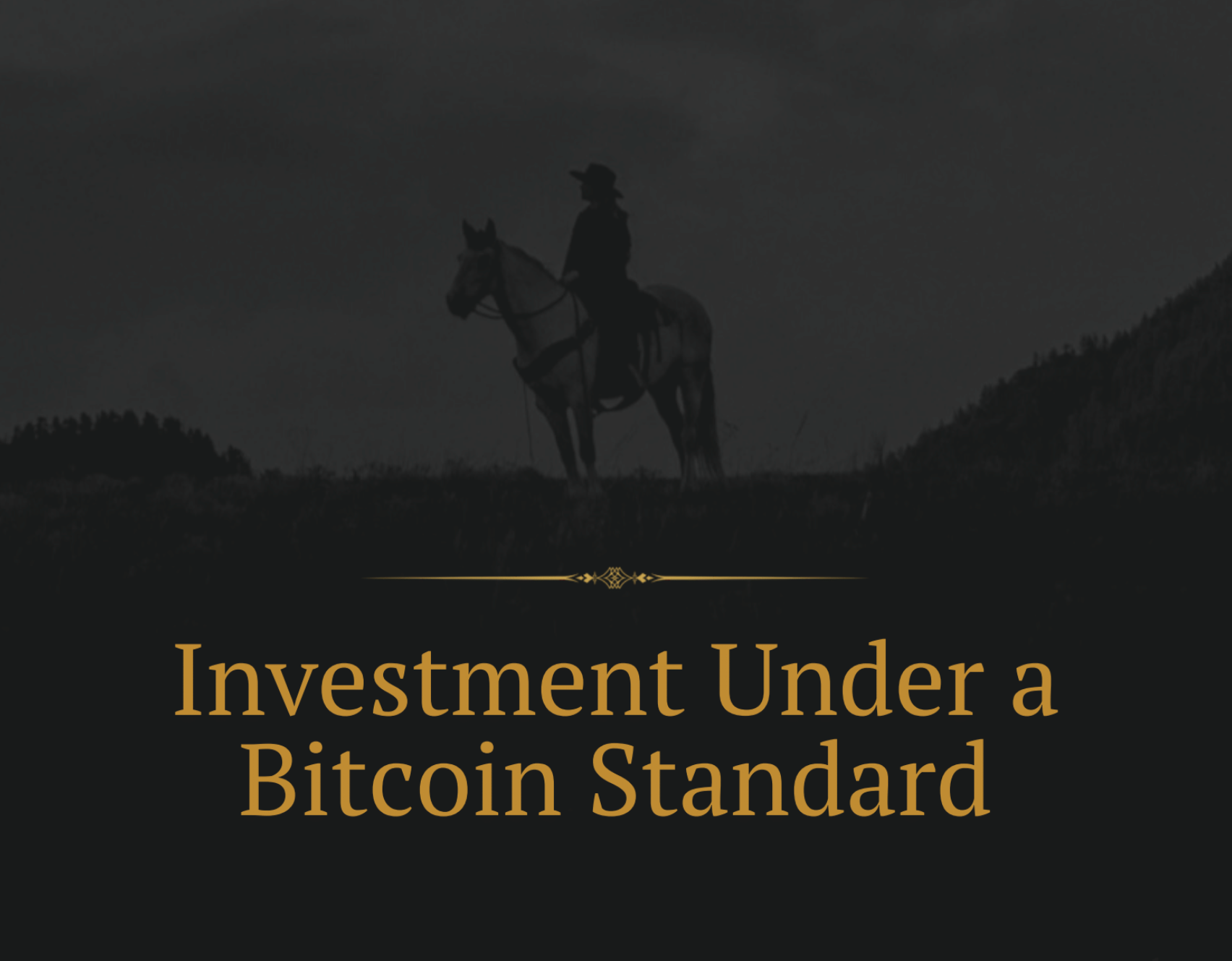 Investment Under a Bitcoin Standard