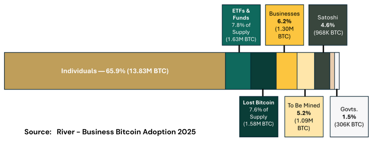 Bitcoin ownership distribution as of August 25, 2025: individuals hold 65.9% of supply, ETFs and funds 7.8%, businesses 6.2%, Satoshi 4.6%, governments 1.5%, with 7.5% lost and 5.2% still to be mined.