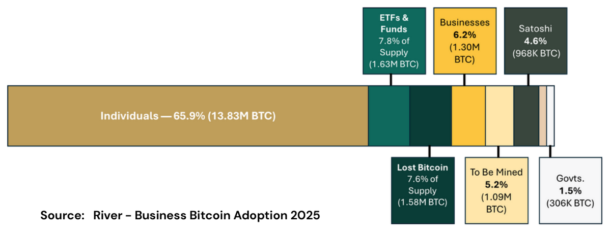 Bitcoin ownership distribution as of August 25, 2025: individuals hold 65.9% of supply, ETFs and funds 7.8%, businesses 6.2%, Satoshi 4.6%, governments 1.5%, with 7.5% lost and 5.2% still to be mined.