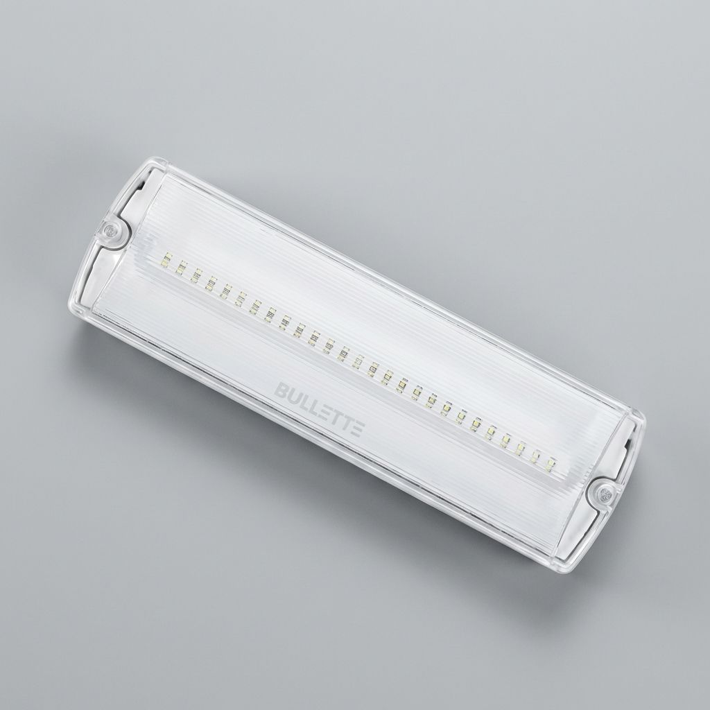 Emergency Light