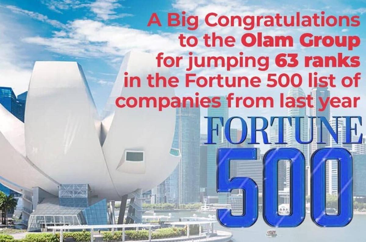Olam Group bags another one in the bag