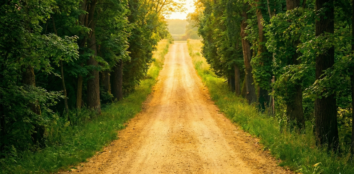 Sabilul Jannah - Leading the path to paradise through community service in Daura, Katsina State