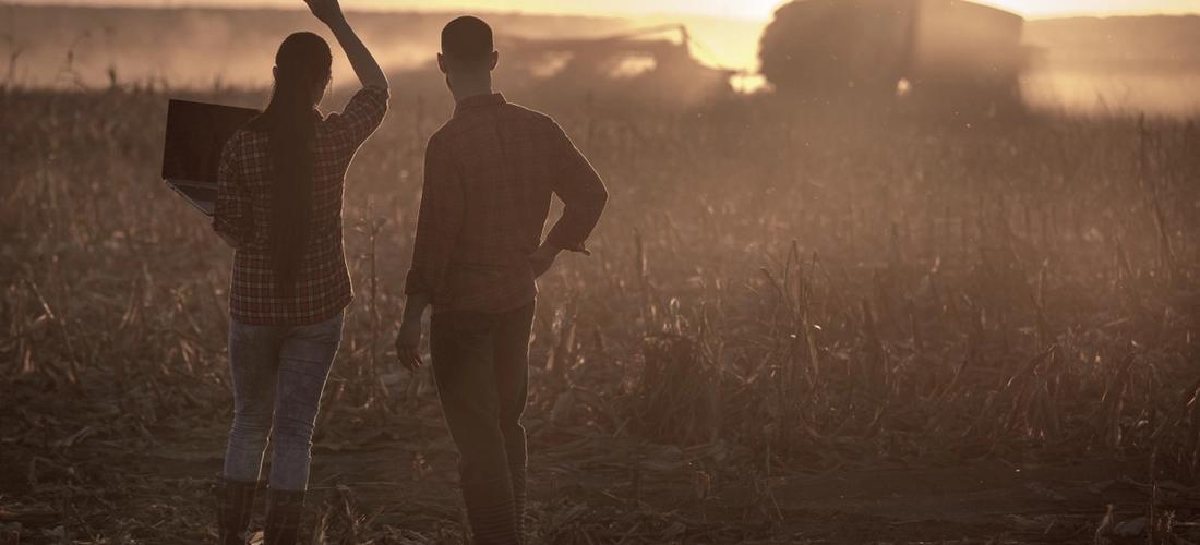 Somos especialistas na cultura do milho!