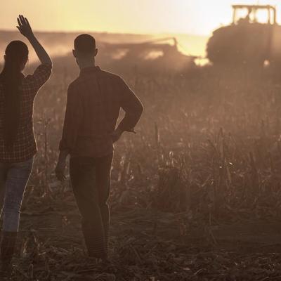 Somos especialistas na cultura do milho!