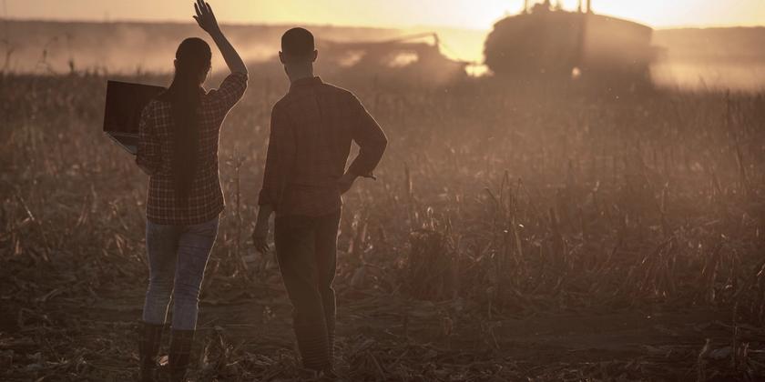 Somos especialistas na cultura do milho!