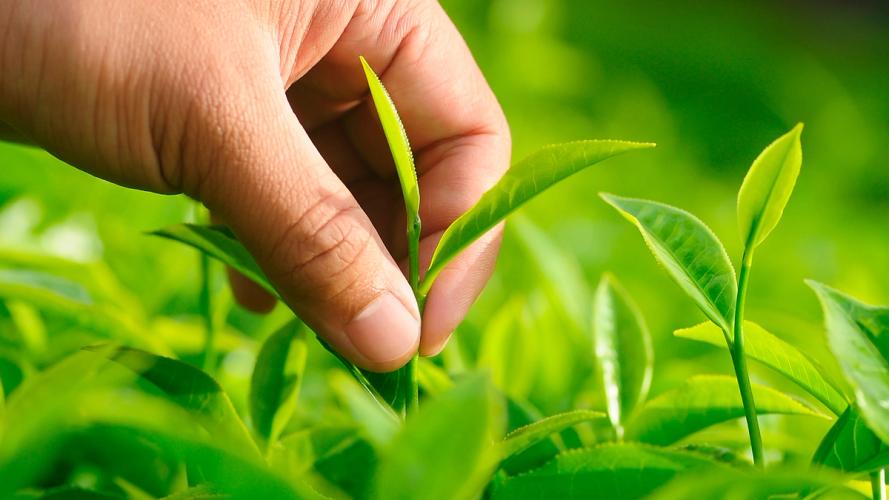 As nossas soluções perto de Si