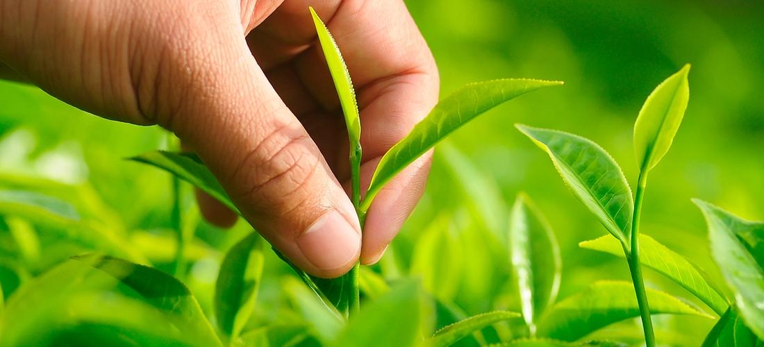 As nossas soluções perto de Si