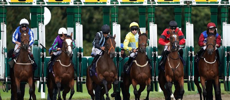 OBPSFA race night