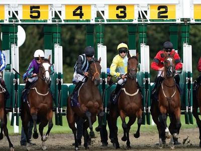 OBPSFA race night