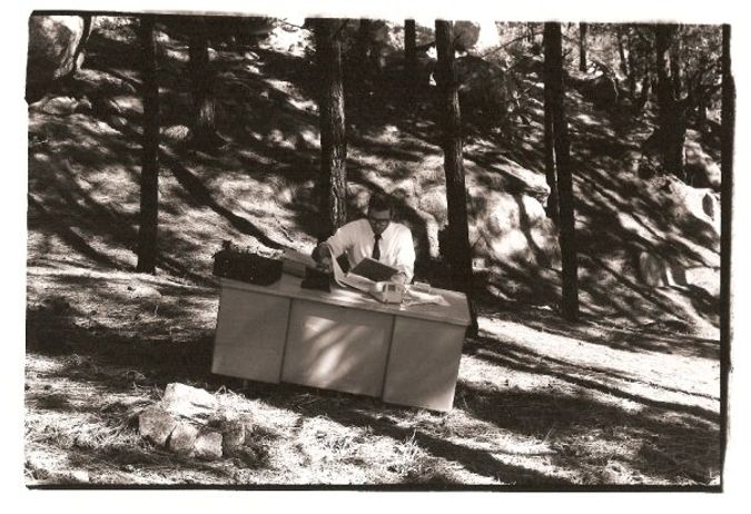 man working at a desk in the forest