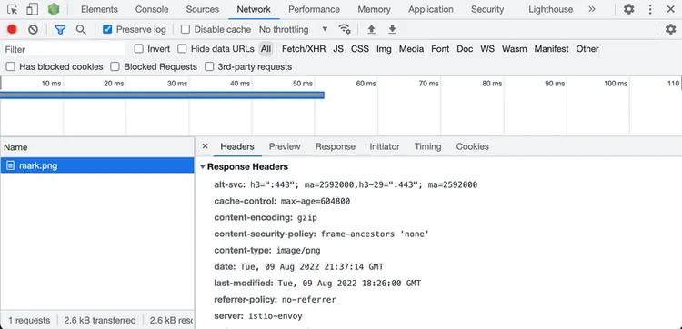 network panel with image request