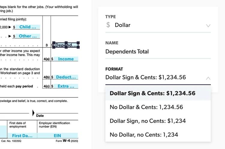 Specifying a field's format