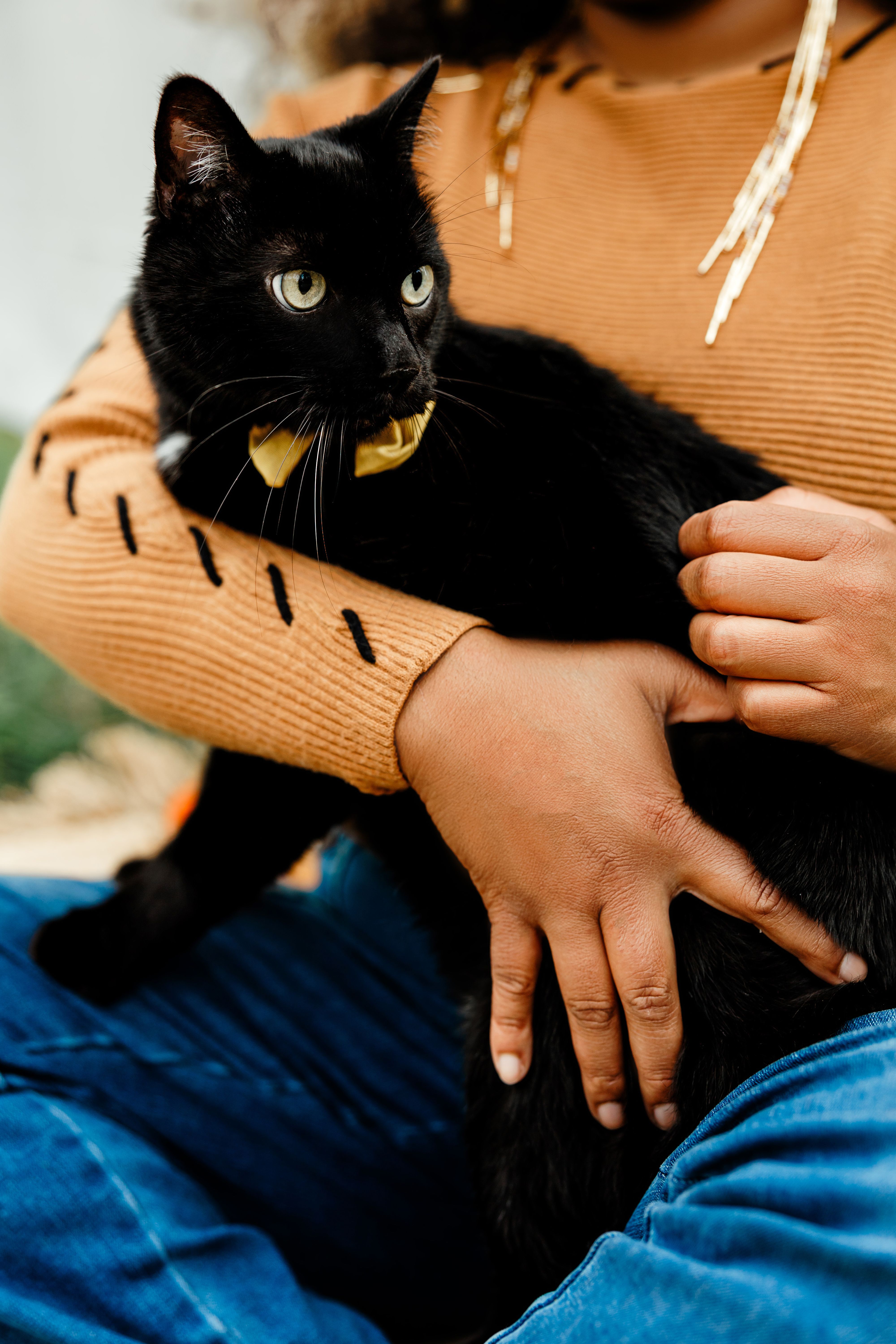 Pets photography by LeAnn Kay — photo 5