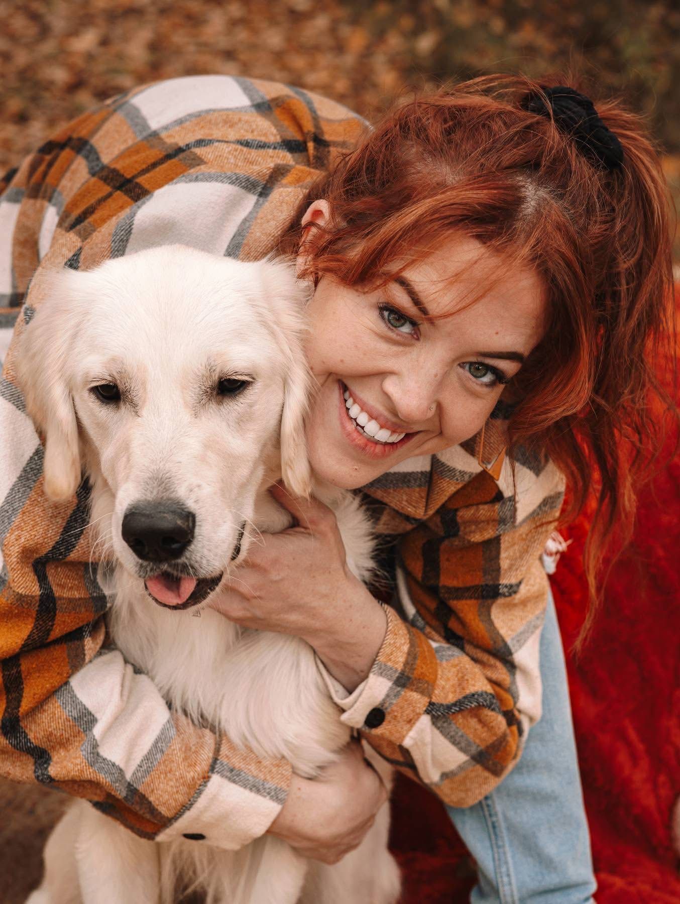 Pets  photo