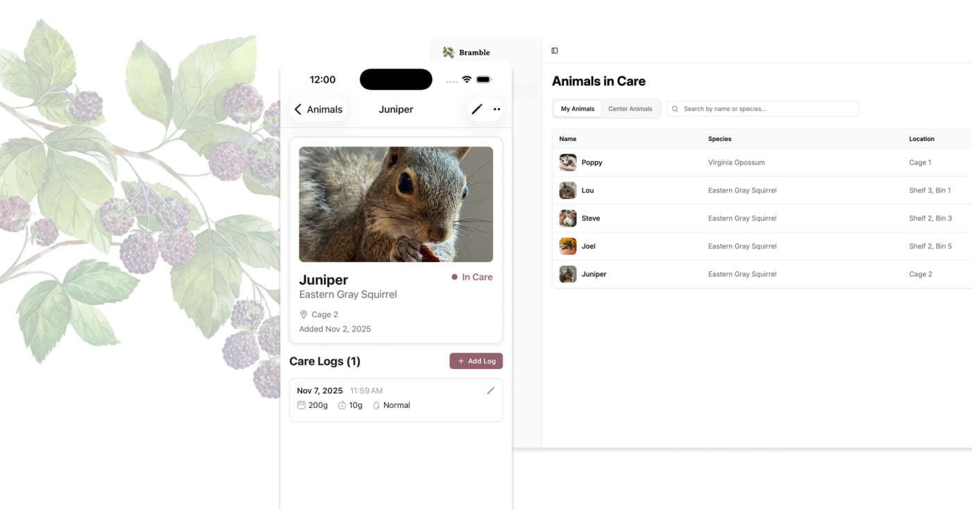Bramble Mobile and Web