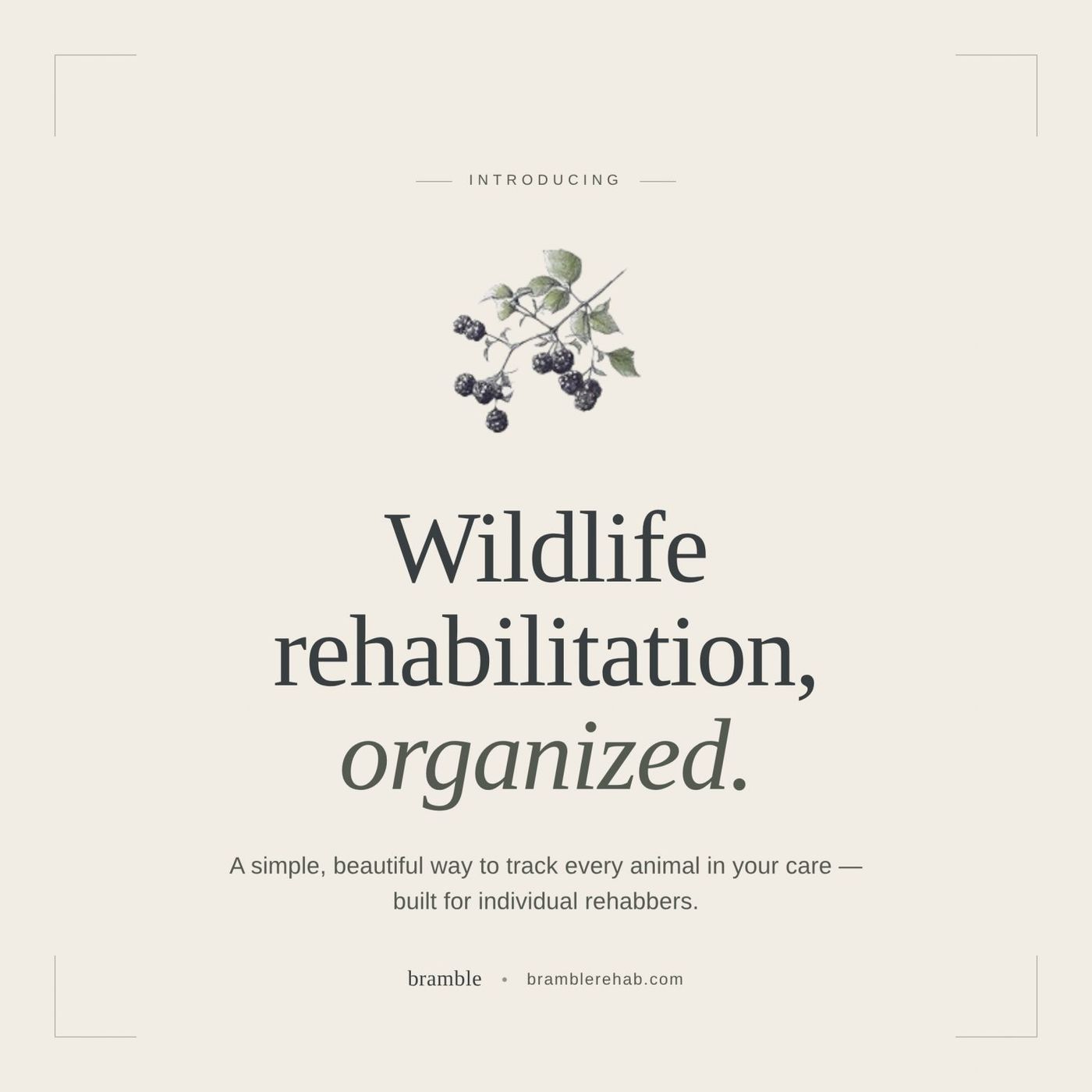 Bramble branding