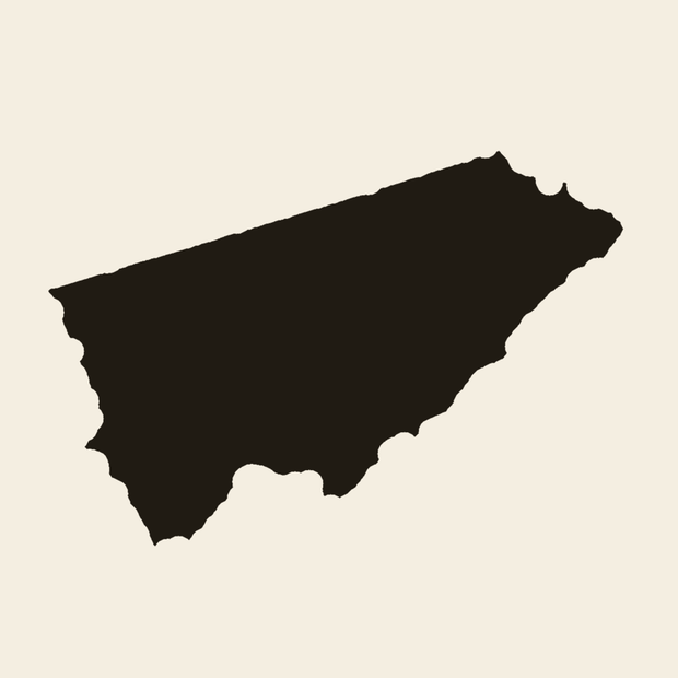 The Toronto Micro-Atlas wordmark and city silhouette.