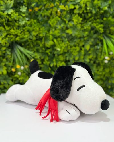 Snoopy Acostado #1