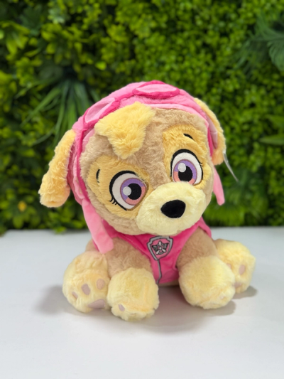 Paw Patrol