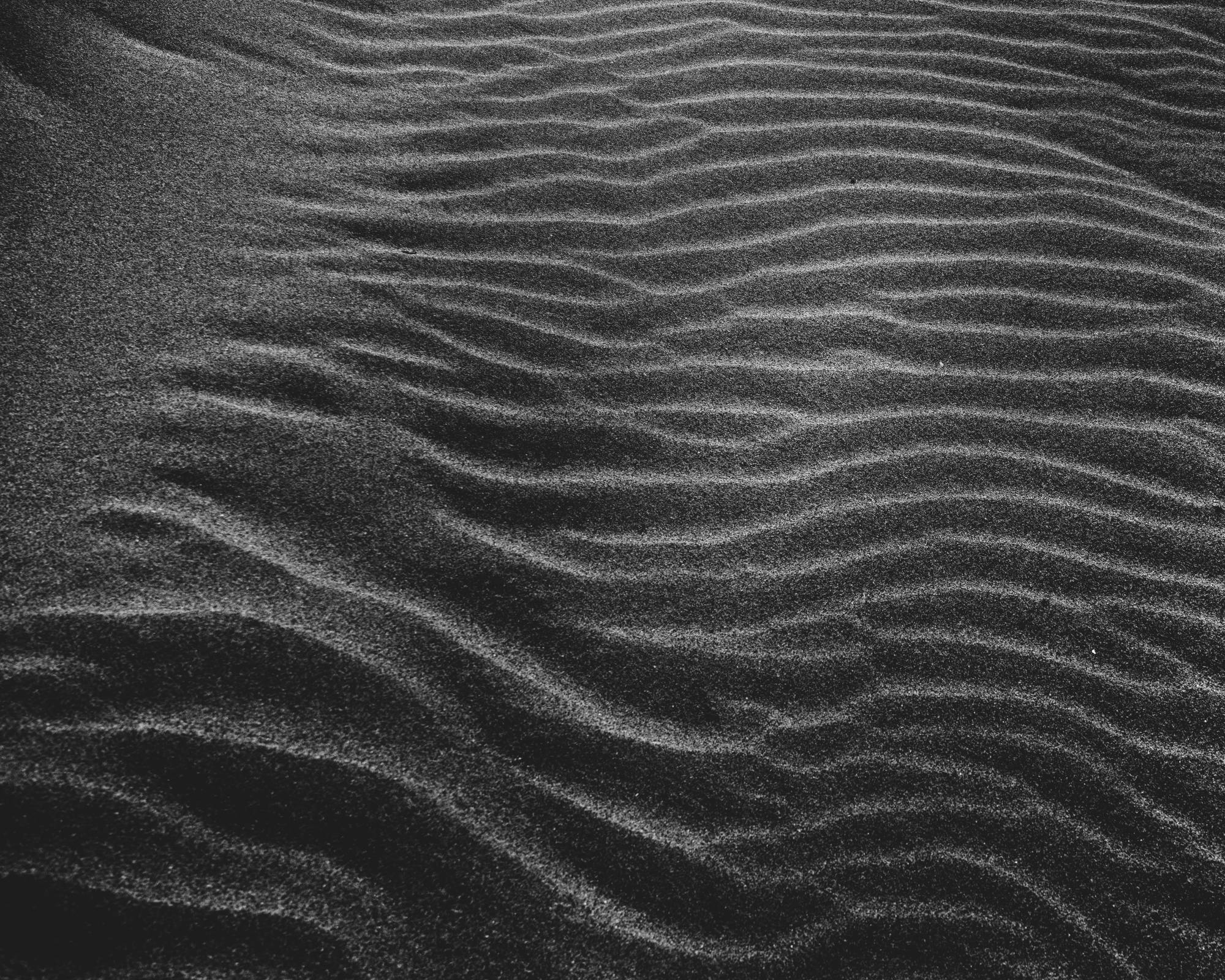 dakota — photograph 13