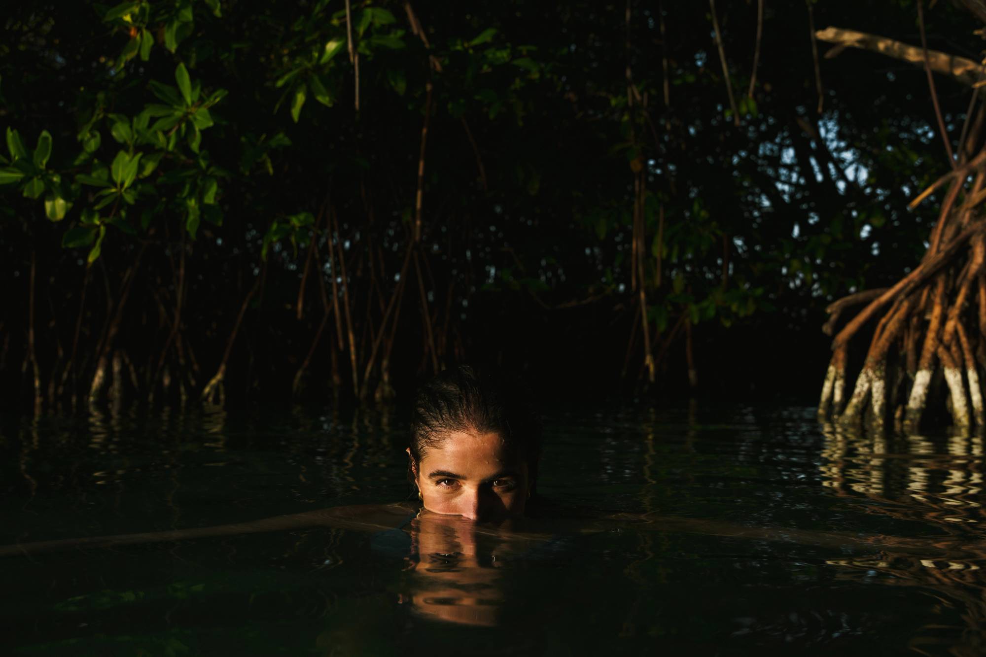 el regreso — photograph 5