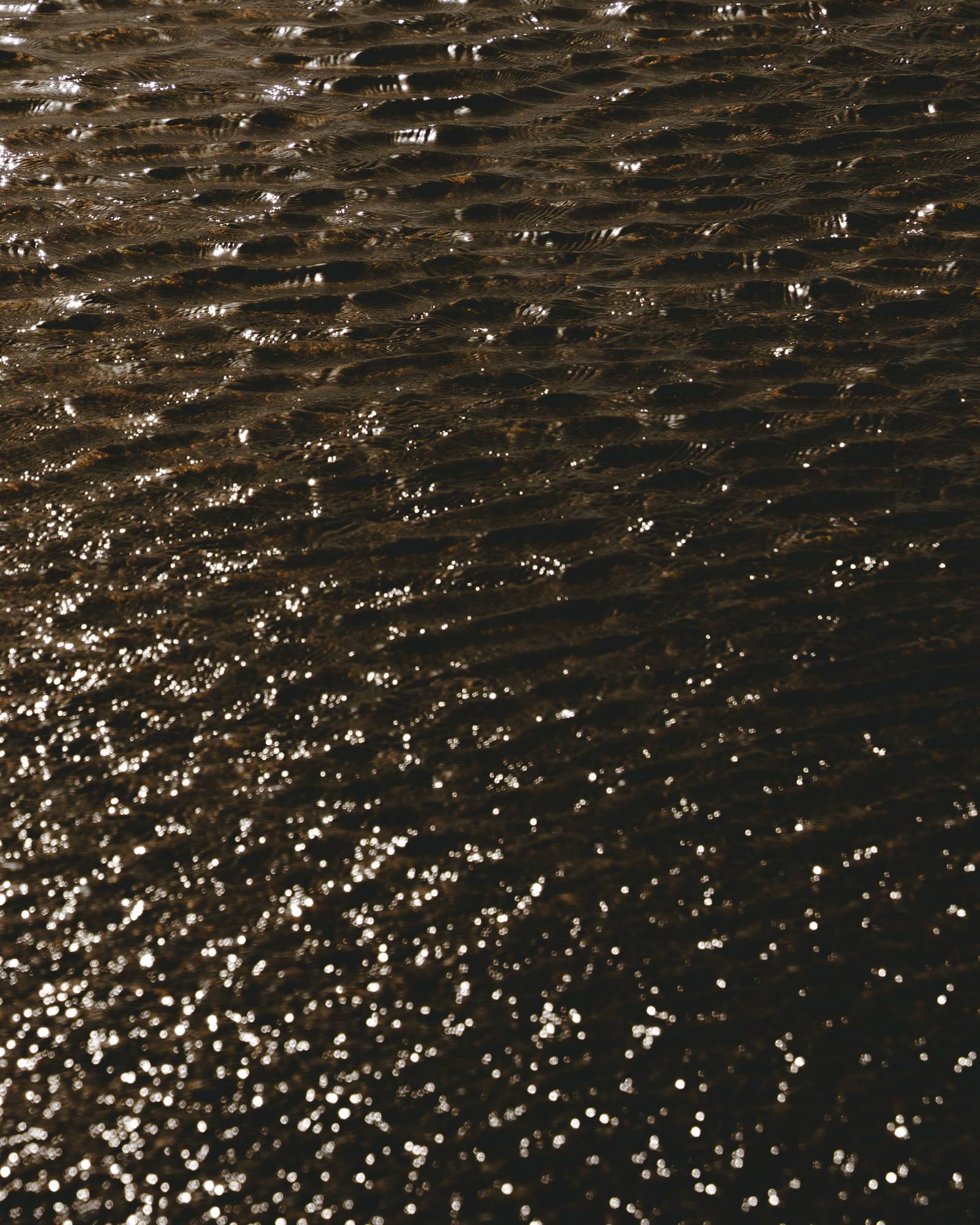 dakota — photograph 2