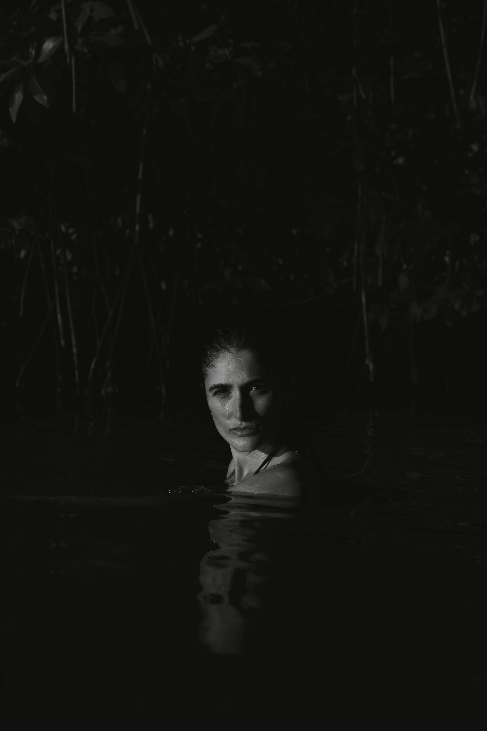 el regreso — photograph 3