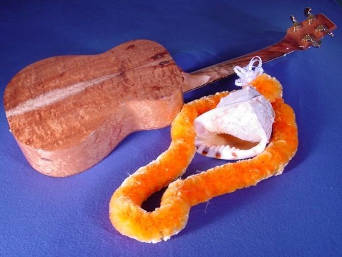 Baritone Ukuleles — view 5
