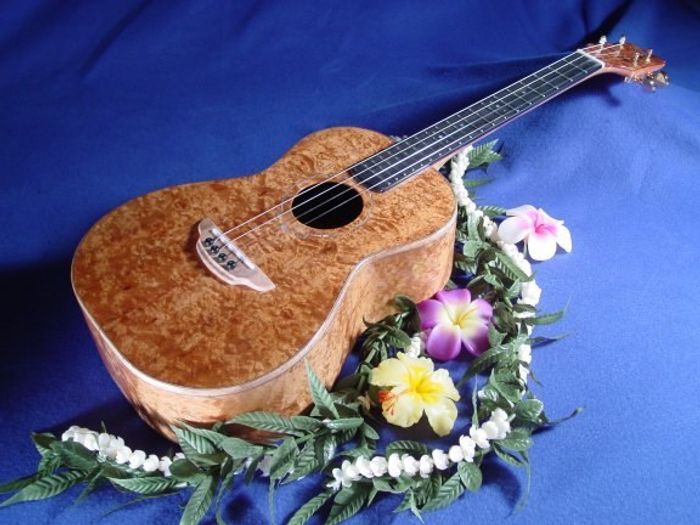 Baritone Ukuleles — view 10