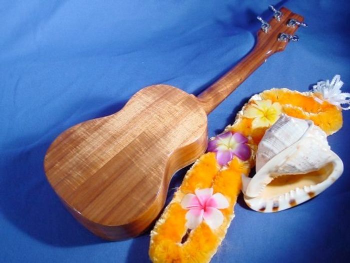 Tenor Ukuleles — view 30