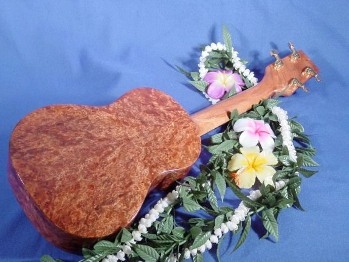 Tenor Ukuleles — view 36