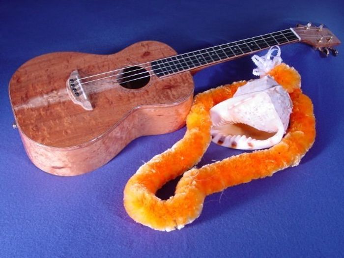 Baritone Ukuleles — view 6